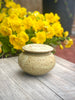 Lidded Pot - Small