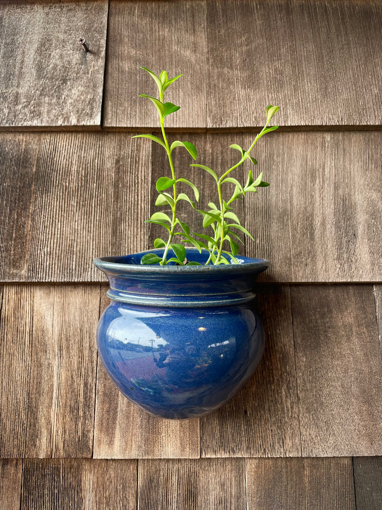 Wall Basket