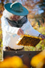 Raw Maine Wildflower Honey 10 oz
