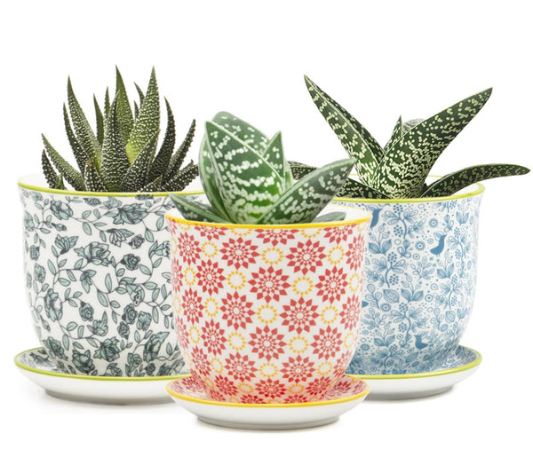 Small Liberte Pots