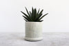Round Planter w/ Plate Pinched (Five Colors)