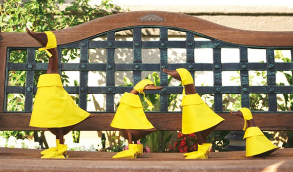 Rain Duck